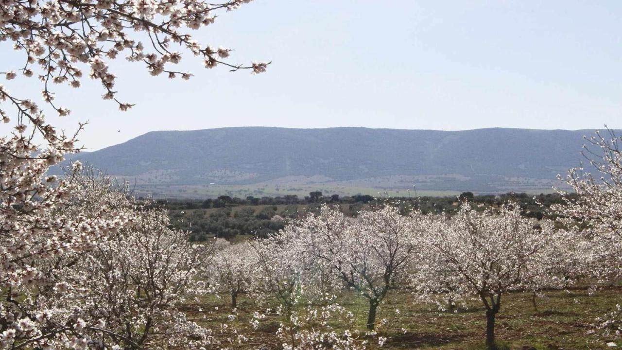 شقة El Rincon De San Jose Marjaliza المظهر الخارجي الصورة