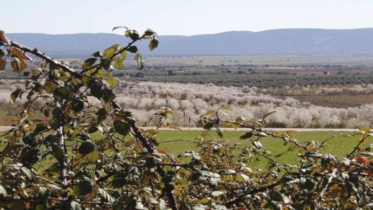 شقة El Rincon De San Jose Marjaliza المظهر الخارجي الصورة